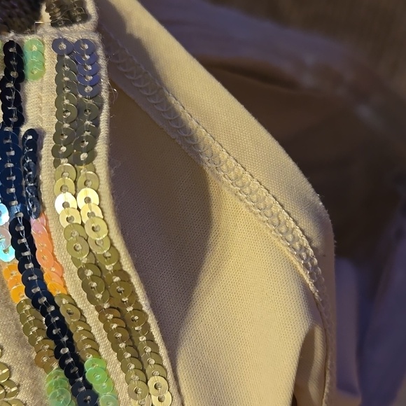 Express Cream Southwest Design Sequined Sparkly Lined Stretchy Skirt Size XS - Picture 5 of 5